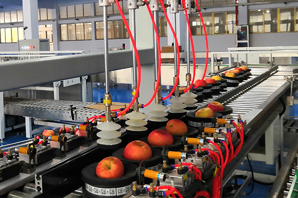 疫情之下中國水果市場發生轉型